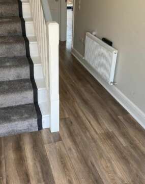 Sigma - Andromeda Oak D5380