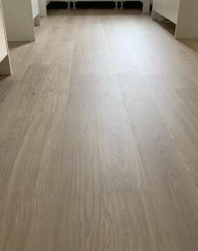 Eligna - Light Grey Varnished Oak EL1304