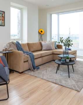 Exclusive - Toledo Oak D4901