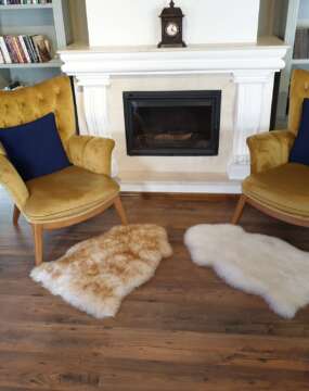 Sound - Blues Chestnut D3842