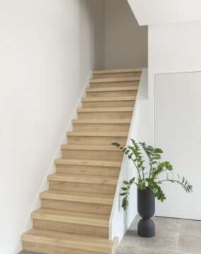 Classic - Raw Oak CLM5788