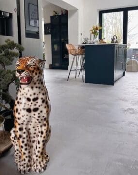 Muse - Grey Concrete MUS5488