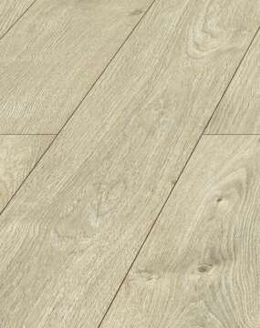 Testa - Nathan Oak D4904