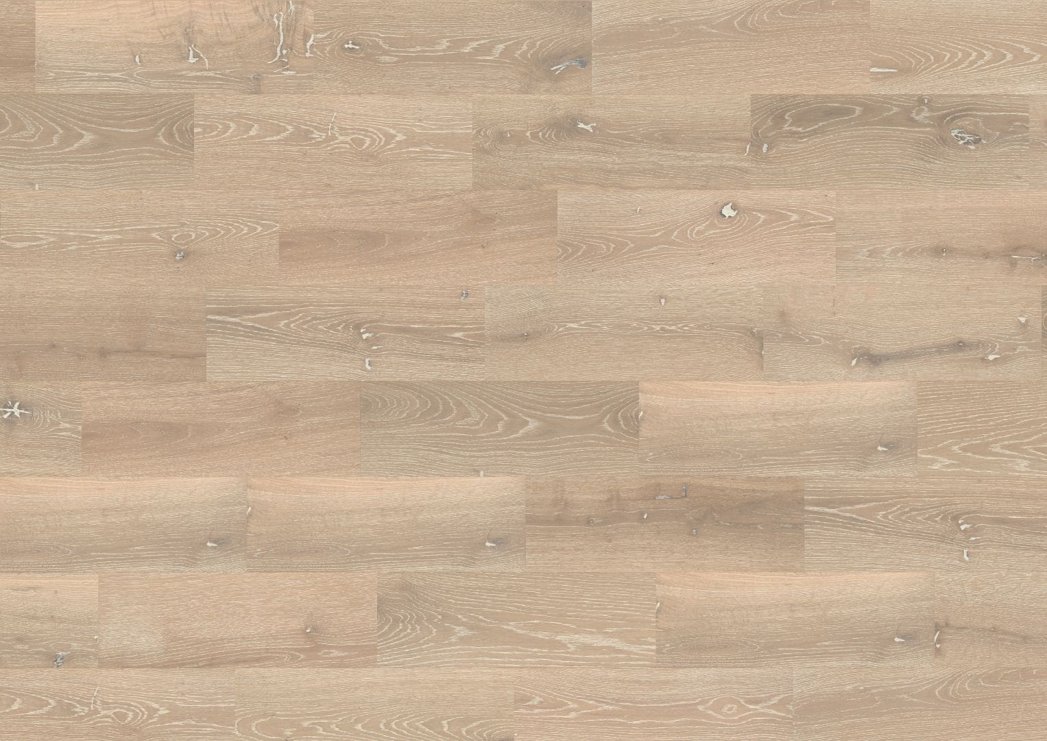 Castro - Alexandria Oak - Image 2