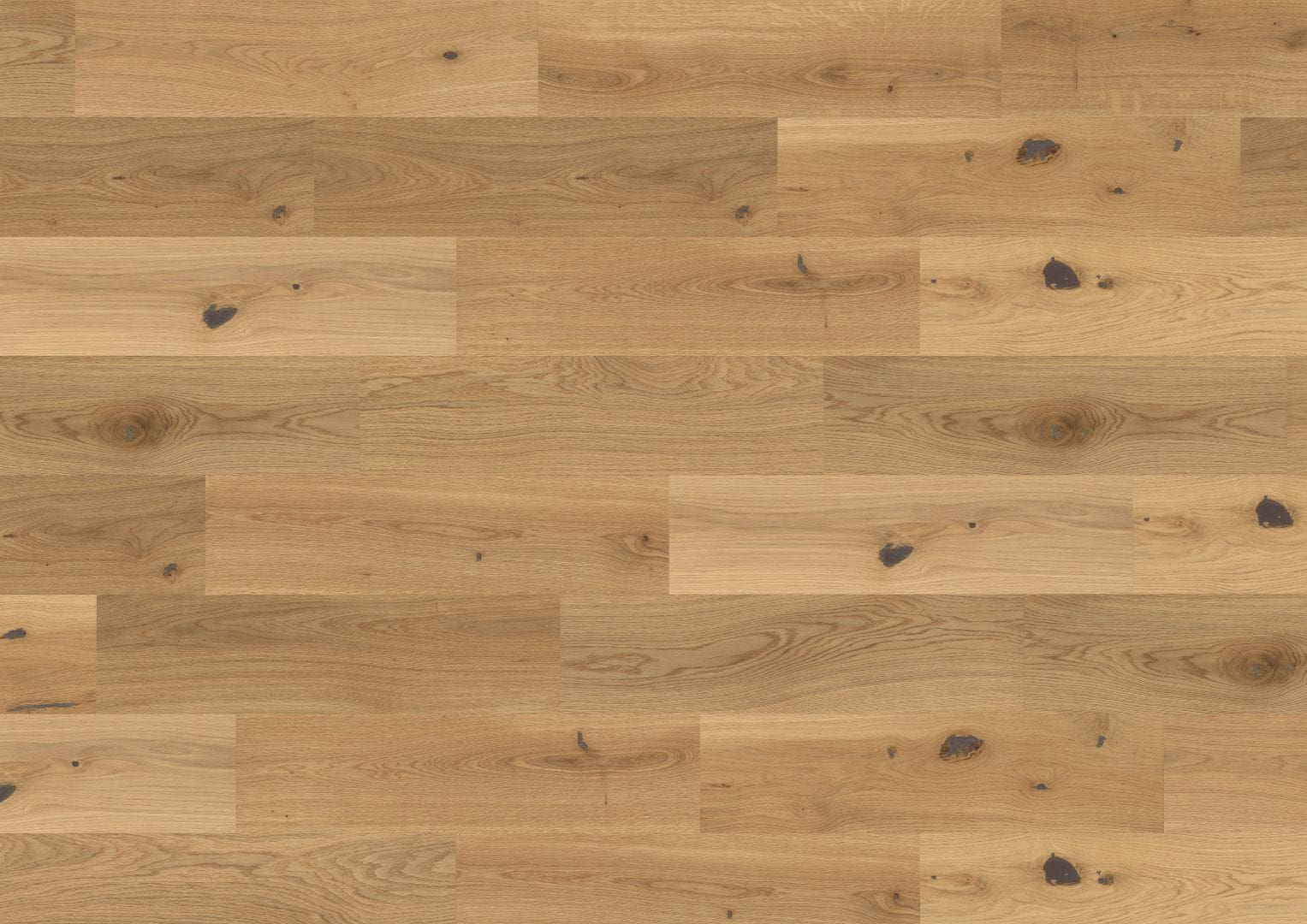 Castro - Prestige Oak - Image 2