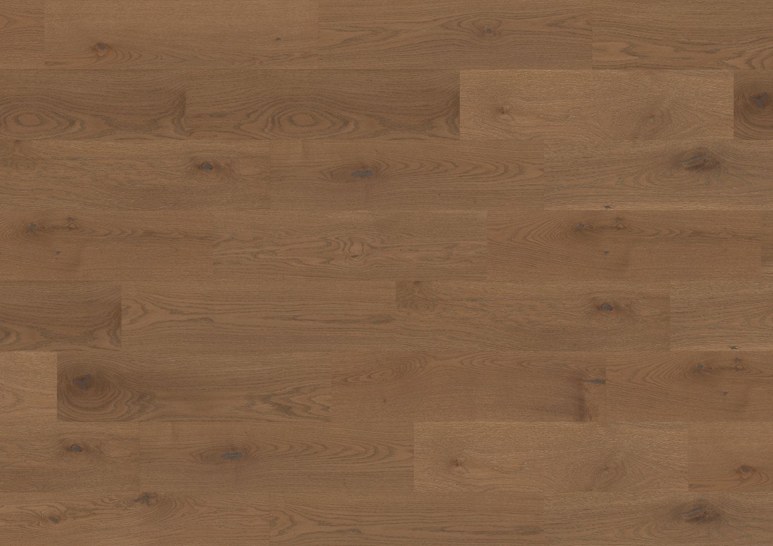Castro - Smoked White Oak - Image 2
