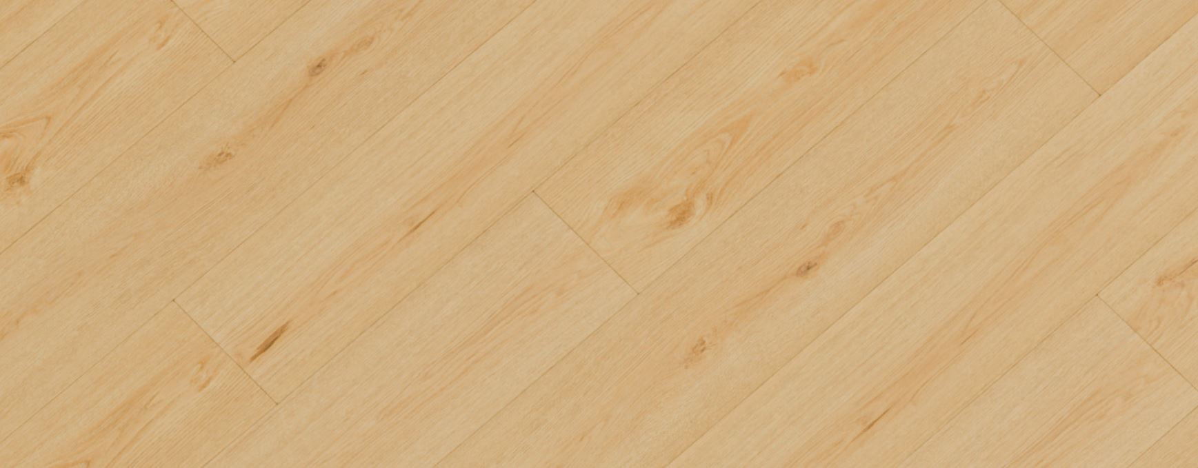 Republic Wolf - Slay - Image 3