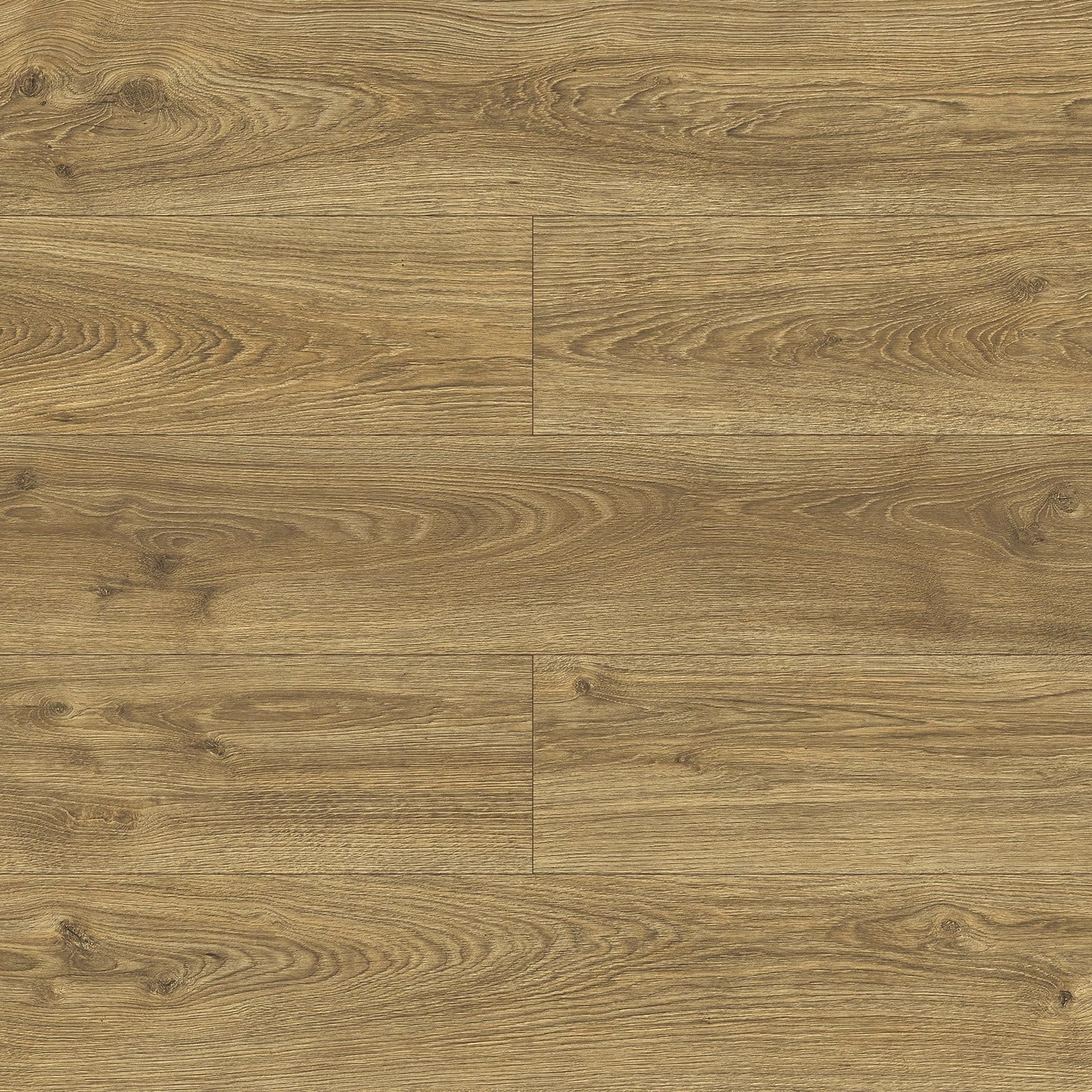 Bella - Urania Oak L725 - Image 2